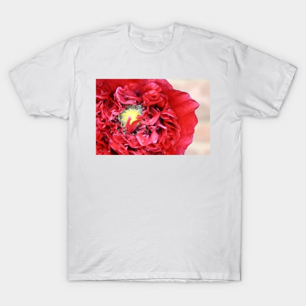 Red Poppy T-Shirt by Furtographic